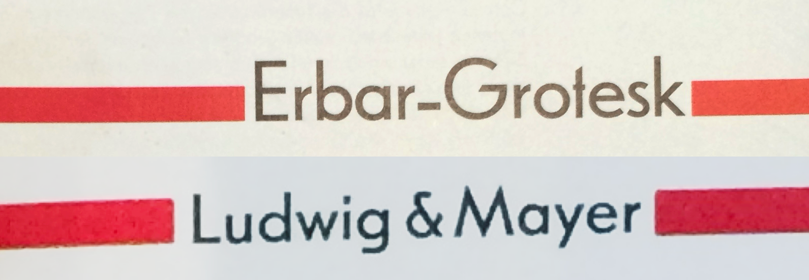Erbar_Futurafication_IMG_2865_v1_crop.png