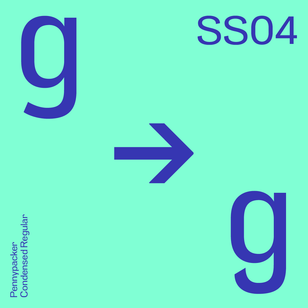 Use Stylistic Set SS04 for alternate g